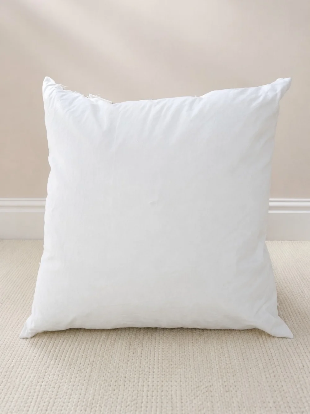Authentic Pottery Barn down/feather decorative pillow insert in classic 20
